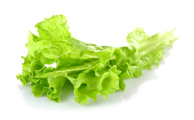 Green fresh lettuce isolated on white