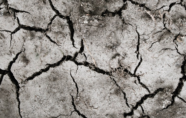 Dry of Cracked clay ground texture background.