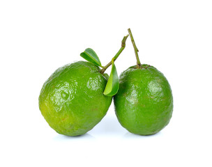  Citrus medica   Linn on white background