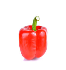 Red bell pepper  on white background