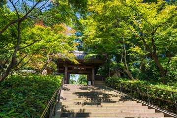 秋の鎌倉　円覚寺　総門