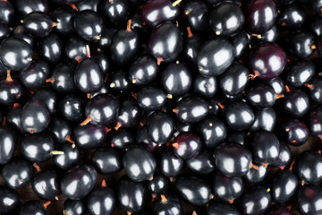 Heap of wild black currant close up
