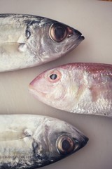 Fresh raw fish