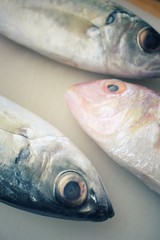 Fresh raw fish