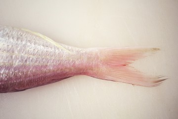 Tail of fresh raw fish