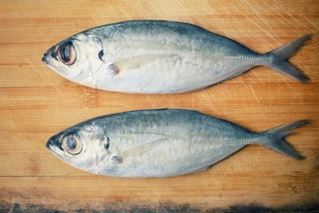Fresh raw fish