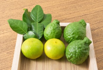 Fresh Kaffir Lime with Lemon Lime on Tray