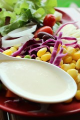 Fresh salad with mayonnaise