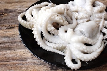 Fresh octopus food