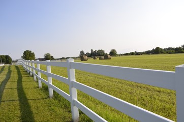 Long white fence bordering rural pastures