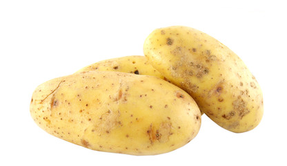 Potato on white background
