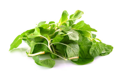 spinach on white background