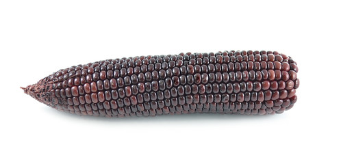 corn on white background