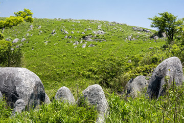 平尾台の岩と丘