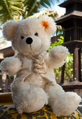 Ein Teddybär auf Reisen - Thailand
