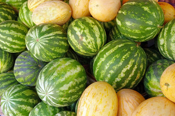 big sweet green watermelons
