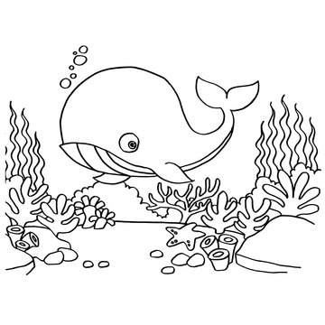 Whales Coloring Pages vector
