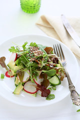 salad with avocado and radish