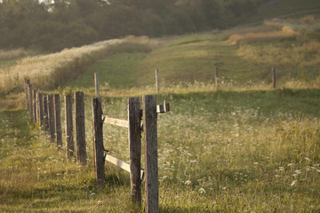 Obraz premium The bars of the fence on a meadow