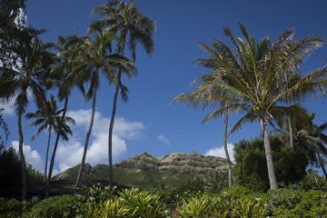 Fototapeta na wymiar Hawaii 2
