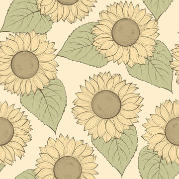 beautiful seamless background with sunflowers