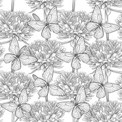 black and white seamless background with flowers aster and butterflies