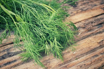 Fresh dill