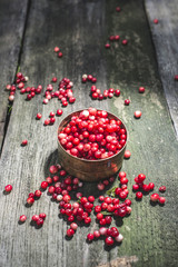 Cranberries in a bowl