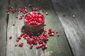 Cranberries in a bowl