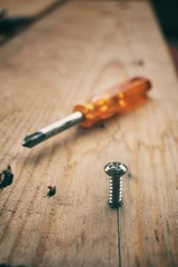 Screwdriver with screw