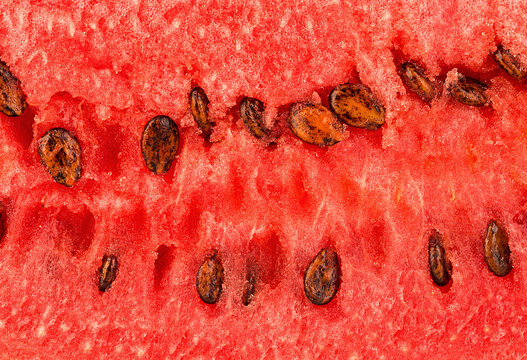 ripe watermelon close-up as a background