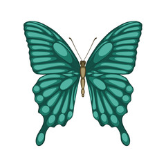 Beautiful butterfly isolated on white. with watercolor effect.