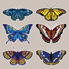 Fototapeta na wymiar Vector set with butterflies isolated on white background