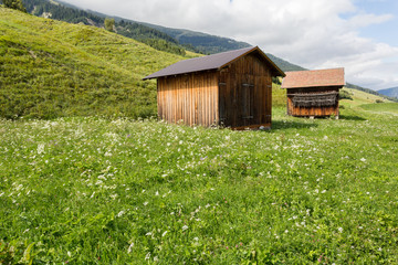 Prairie, alpage et chalet