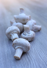 Champignons