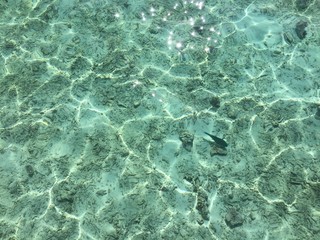 Clear water and sandy bottom of the ocean