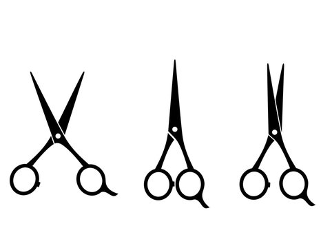 isolated cutting scissors