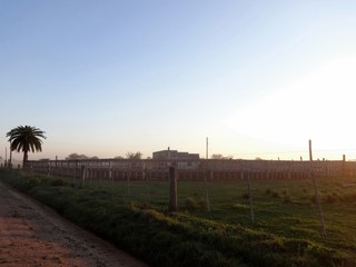 Establo en el campo