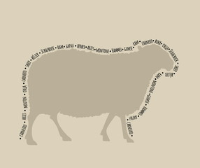 vector illustration silhouette of a sheep named in different lan