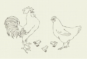 Fototapeta na wymiar vector illustration family hens