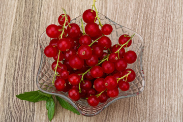 Red currant
