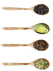 Different kinds of seasoning