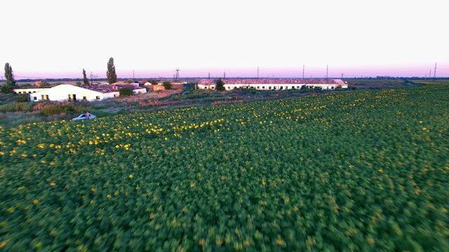 Flying Over The Abandoned Farms. Aerial Survey. Phantom 3 Professional 4K