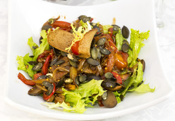 duck with arugula on a white background in the restaurant