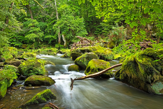 Bachlauf der Pr&uuml;m an den Irreler Wasserf&auml;llen mit moosbewachsenen Steinen und Felsen