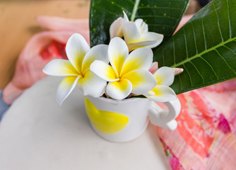 Obraz na płótnie Canvas lovely charming aroma flower plumeria in mini boutique style with colourful decoration