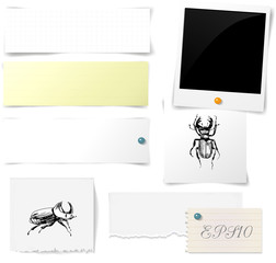Vector set of paper objects with bugs