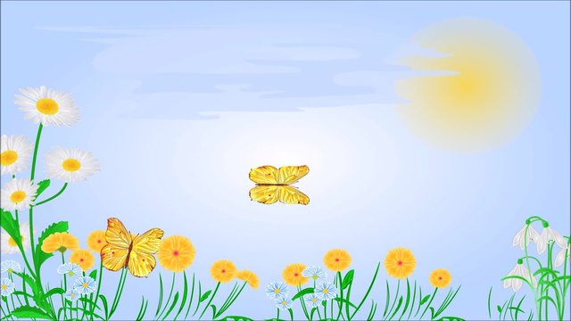Animation of illustration seamless loop yellow butterflies on spring meadow