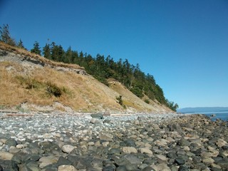 Cliff Coast in late Summer