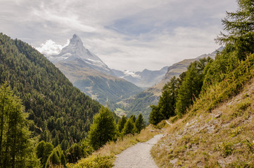 Obraz premium Zermatt, Dorf, Walliser Dorf, Matterhorn, Alpen, Walliser Berge, Schweizer Alpen, Wanderferien, Sunnegga, Findeln, Weiler, Schlucht, Sommer, Wallis, Schweiz